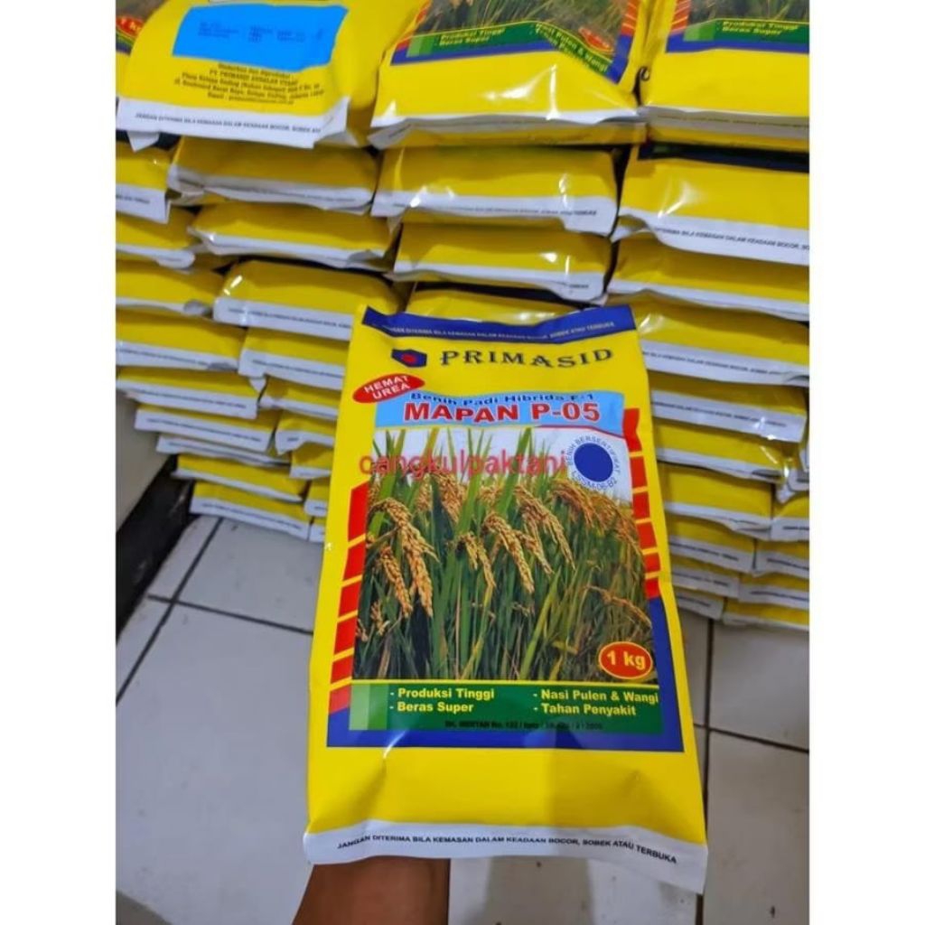 BIBIT PADI HIBRIDA UNGGULAN MAPAN P-05 ORIGINAL, KUALITAS UNGGULAN