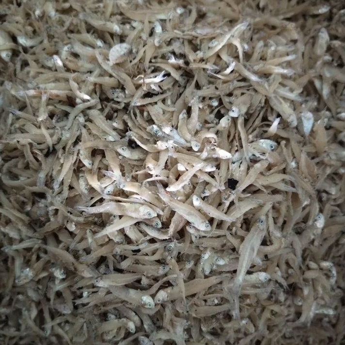 

ikan asin teri jengki campur teri nasi / teri nasi standart / ikan asin tamben