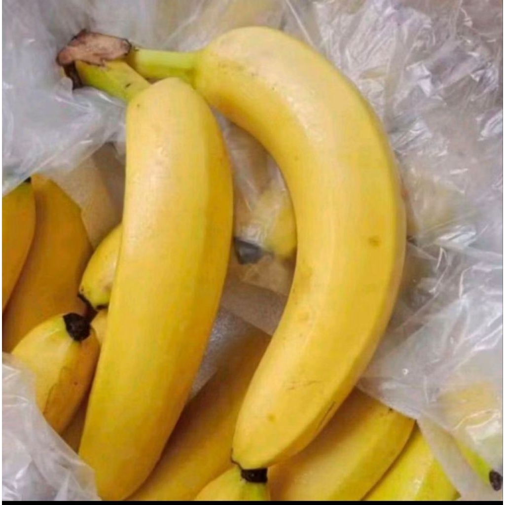 Buah pisang cavendish Sunpride banana pisang promo Sunpride banana gift box -+6kg