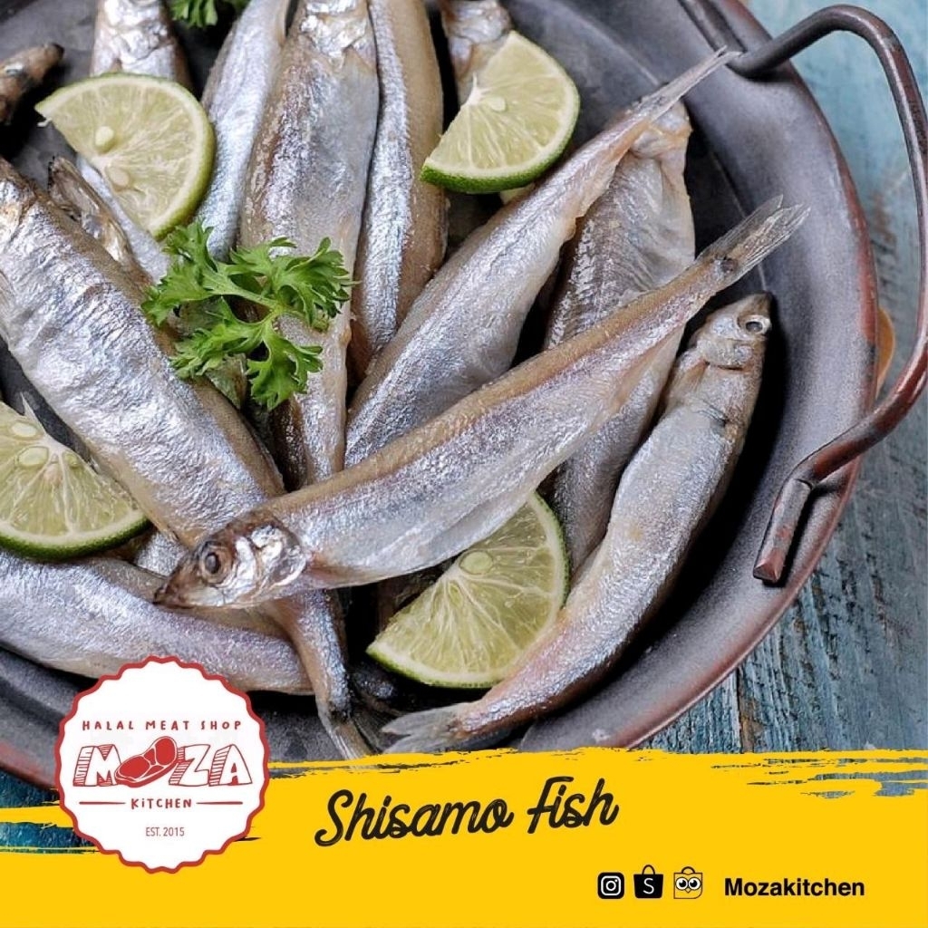 Shisamo (Ikan Telur)