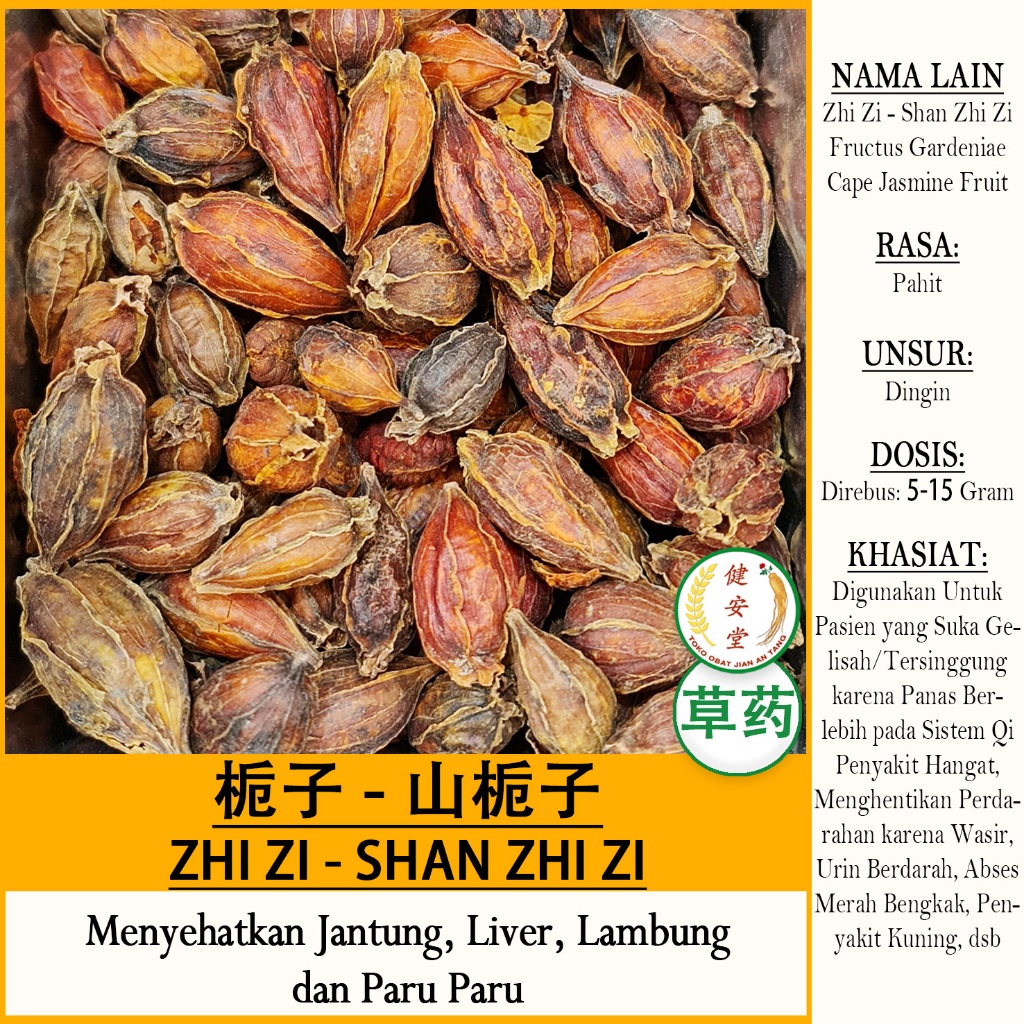 

ZHI ZI - SHAN ZHI ZI - Fructus Gardeniae - Cape Jasmine Fruit - Herbal TCM Per 100 Gram
