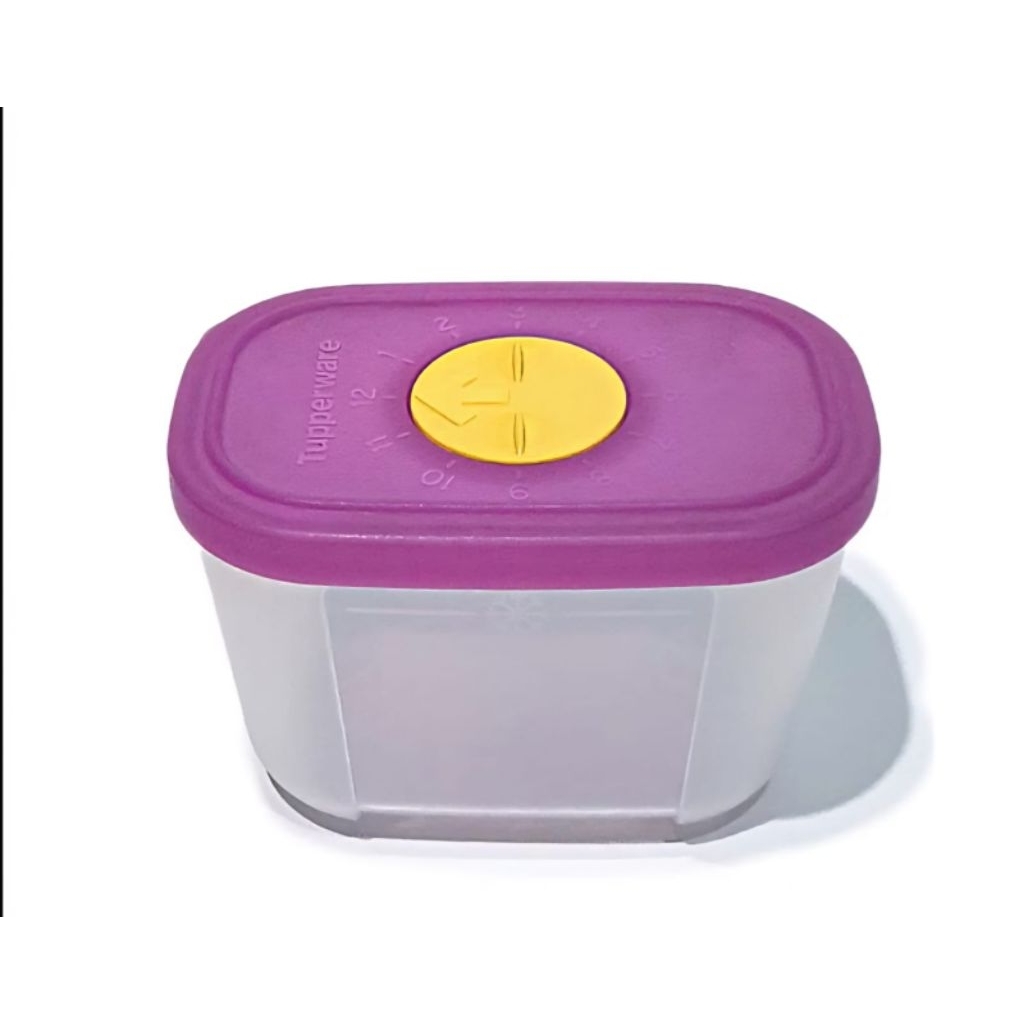 Mini Freezer Mate Tupperware