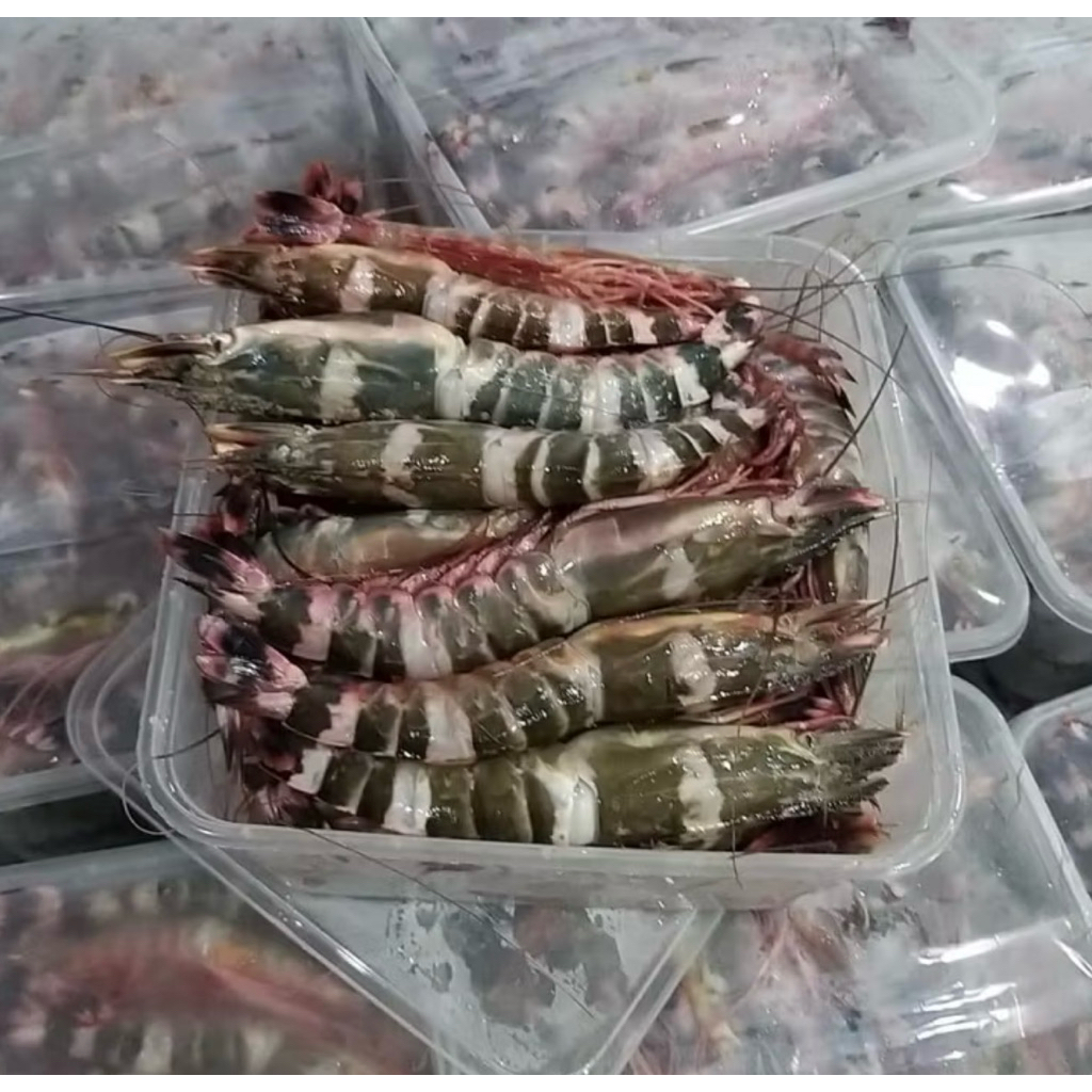 Udang Windu Tiger 1kg