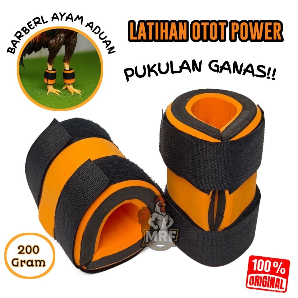 Barbel Ayam Bangkok Ayam Jago Barbel Ayam 200 Gram