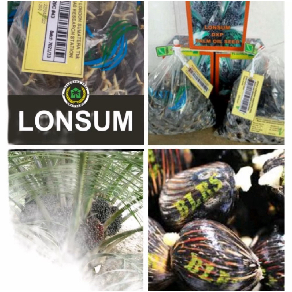 KECAMBAH SAWIT LONSUM BERSERTIFIKAT