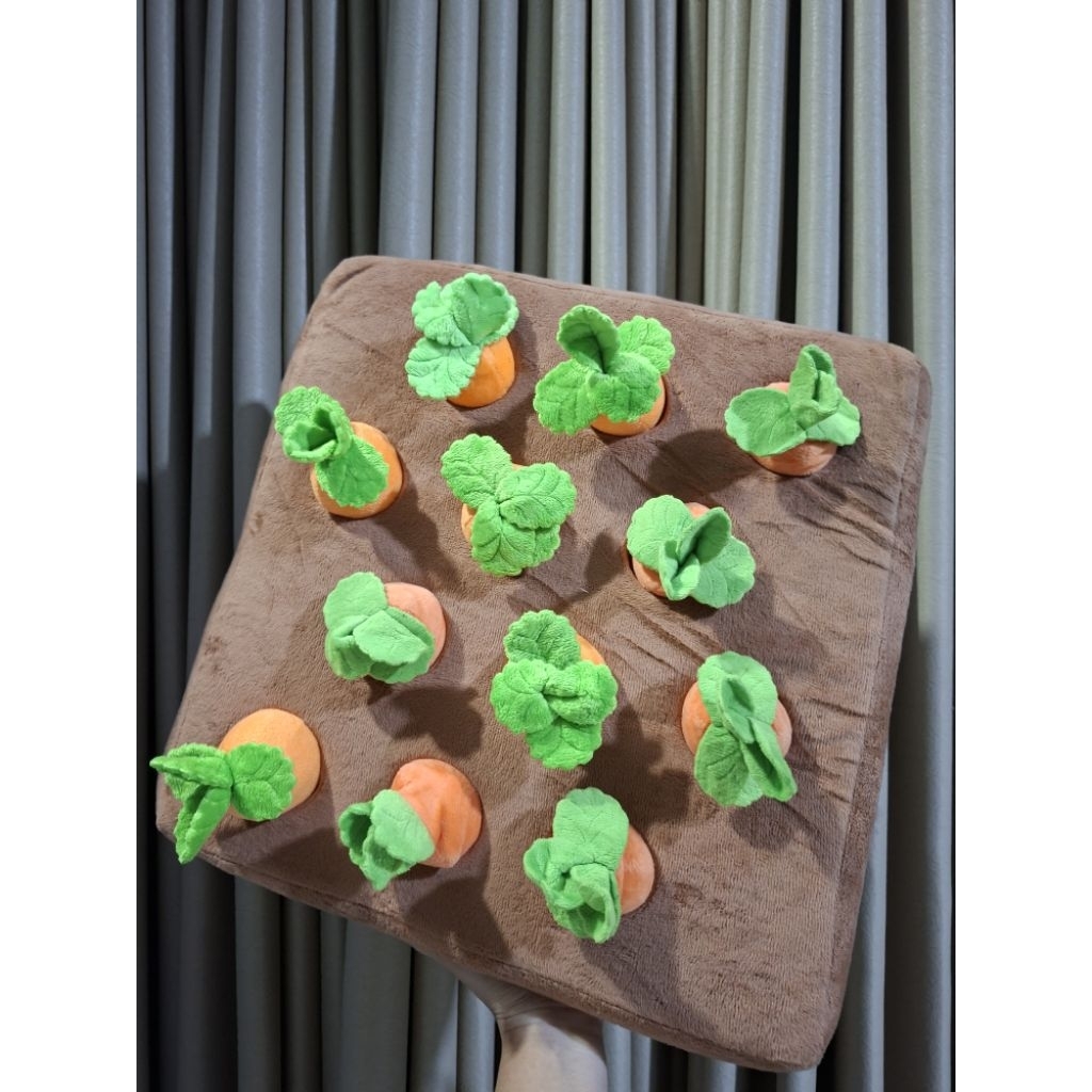 Tanaman Wortel / Mainan Edukasi