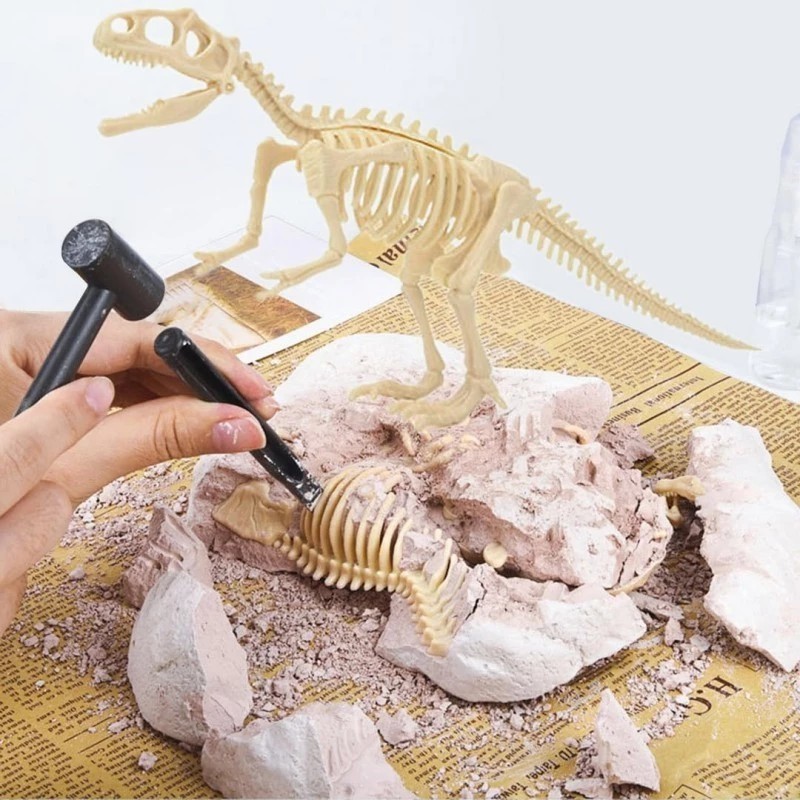 Fossil Dinosaurus Mainan Edukasi Edukatif Mainan Fosil Dinosaurus Besar Fosil Dinosaurus