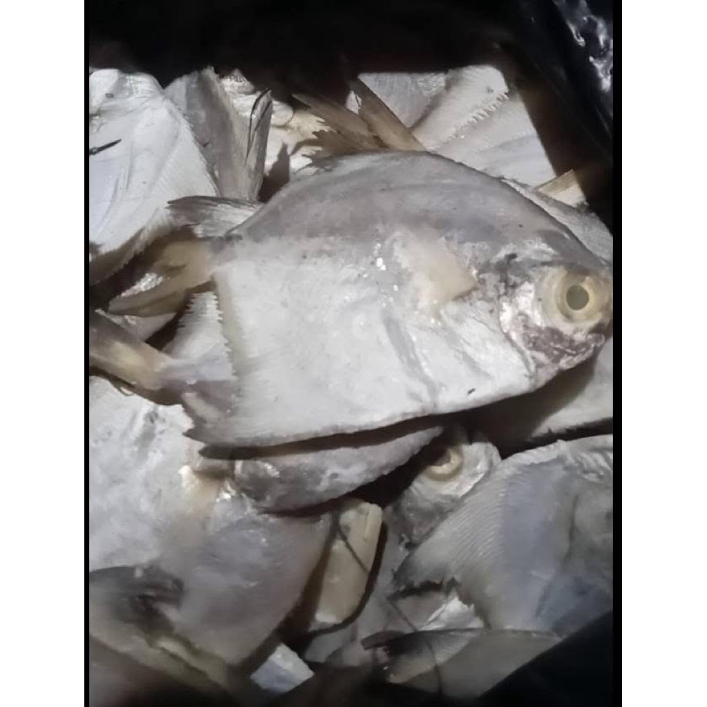 

Ikan Asin Bawal Bertelor 250gr