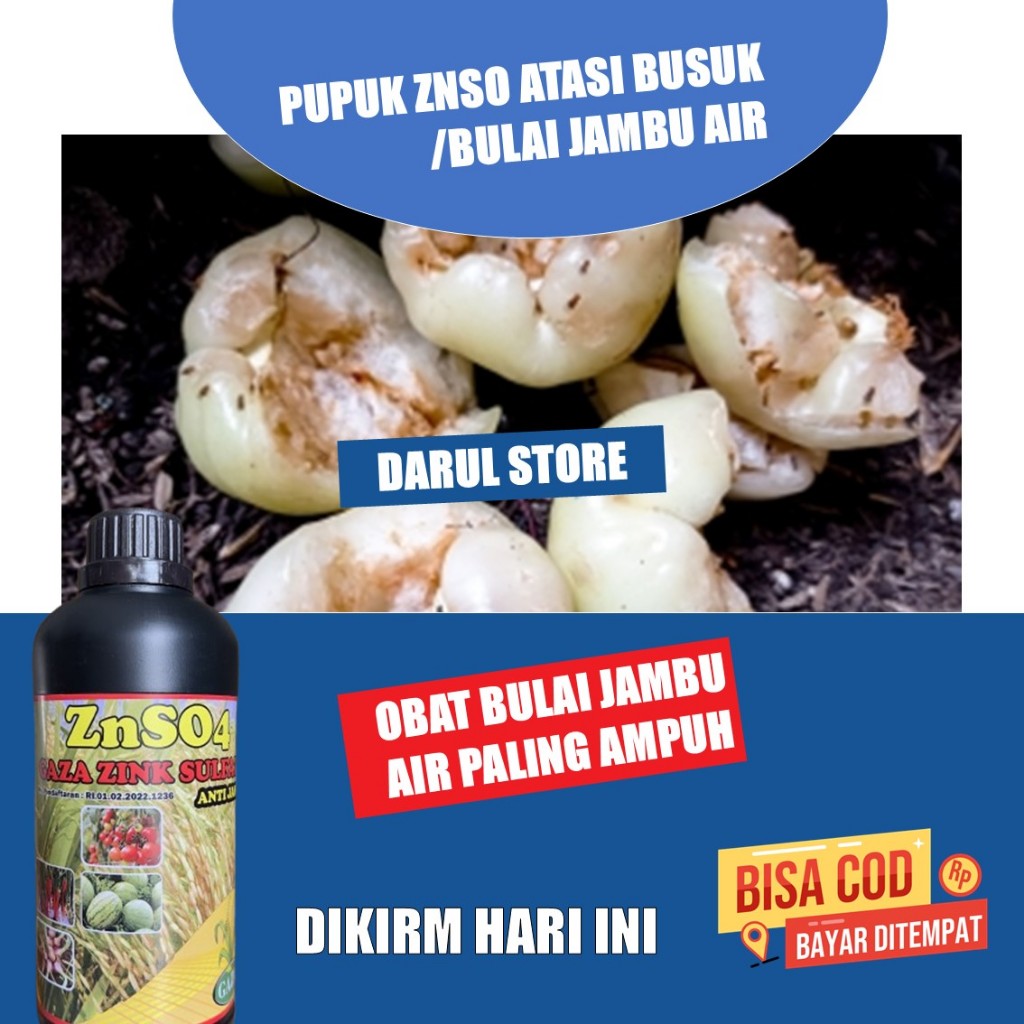 Pupuk ZnSO4 Jambu Air | Daun Sehat Hijau, Buah Lebat & Manis | Anti Busuk, Nutrisi Lengkap, Perawata