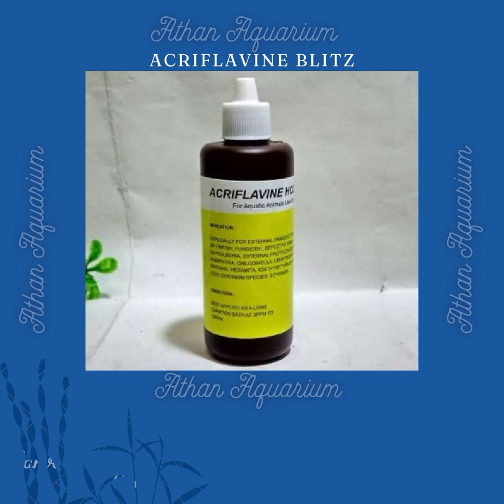 Blitz Icht Acrivlafine HCL -Obat kuning ikan
