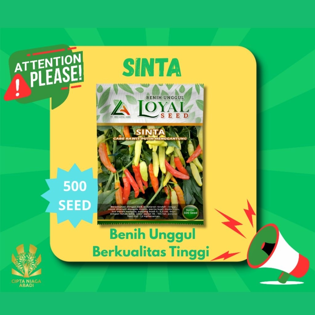 Benih Cabe Rawit Putih Menggantung SINTA, 500 Seed