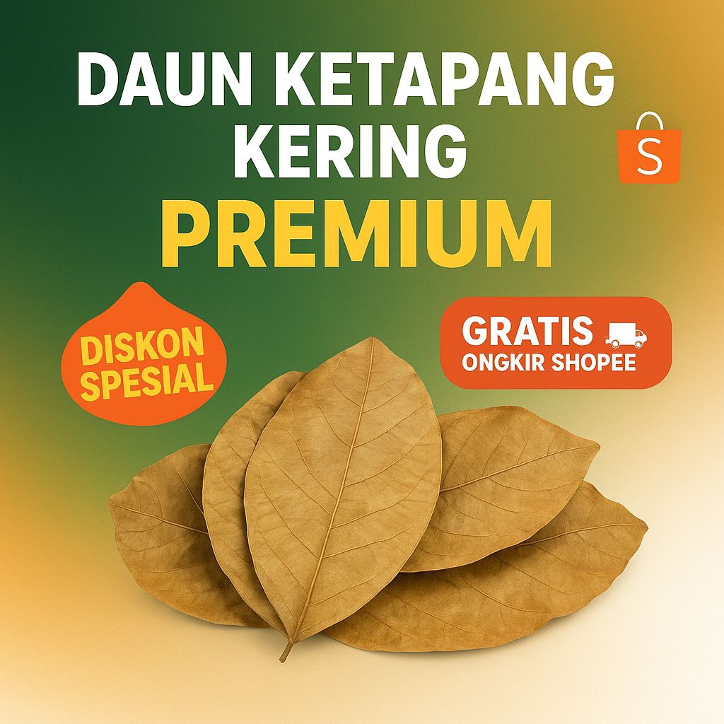 Daun Ketapang Kering | Daun ketapang kering premium | Daun ketapang kering laut | Daun Ketapang Keri
