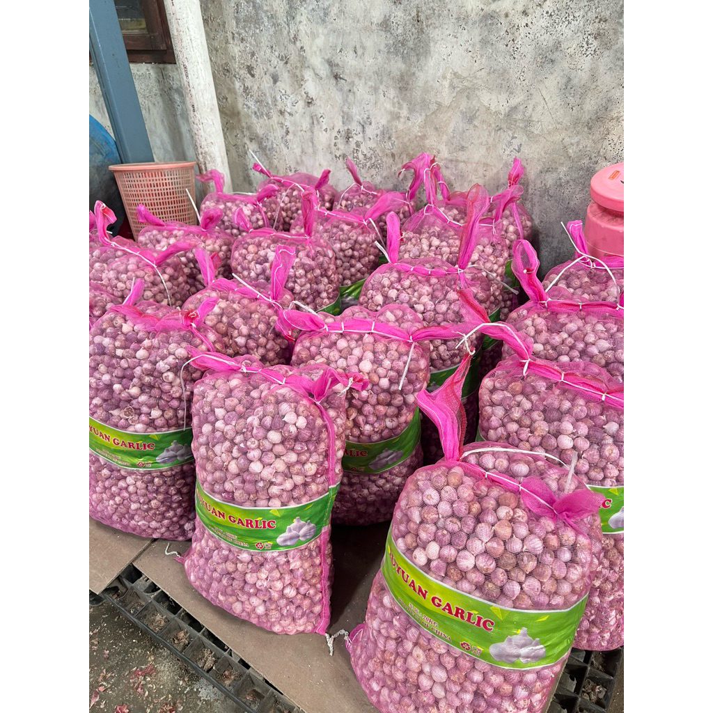 BAWANG PUTIH LANANG TUNGGAL 1 KG / BAWANG PUTIH TUNGGAL IMPOR CHINA