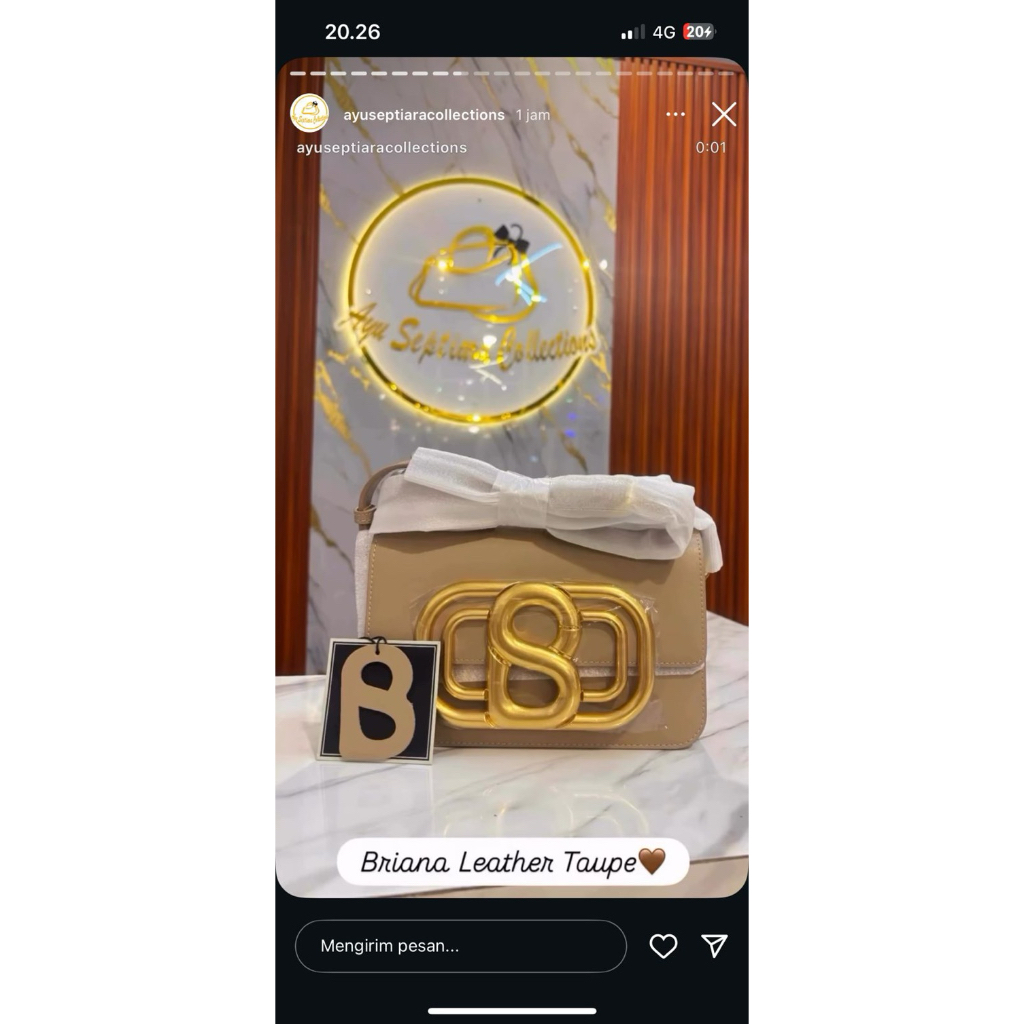 Briana bag Buttonscarves