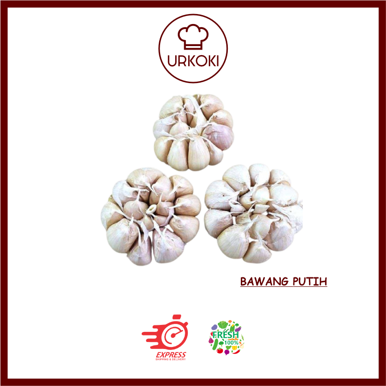 

BAWANG PUTIH BIASA