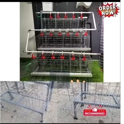 Kandang ayam petelur kapasitas 24 ekor full set