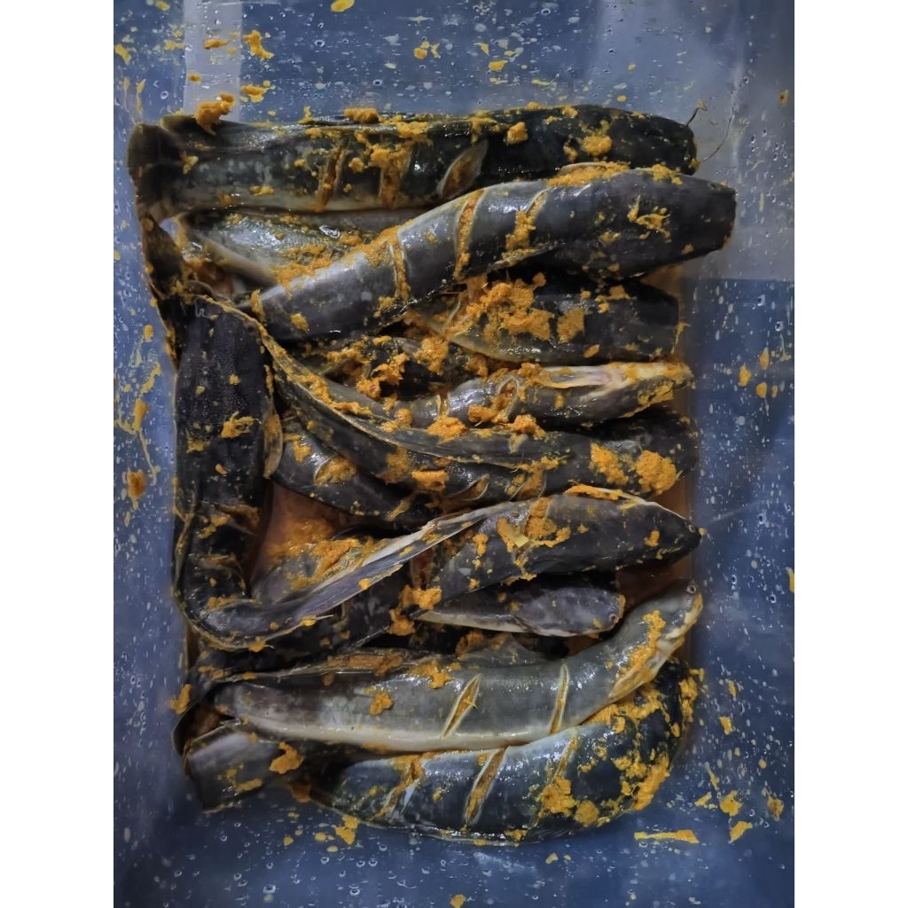 Ikan Lele bumbu kuning 4 ekor/ikan lele frozen/lele goreng