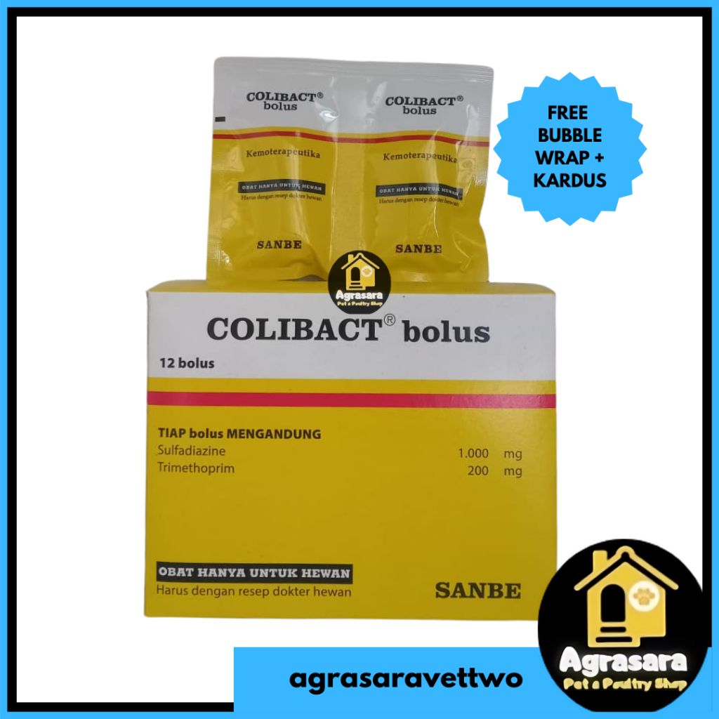 COLIBACT BOLUS isi 12 Bolus - 1 DUS