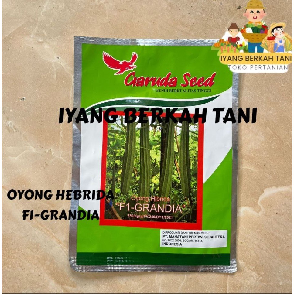 Benih Gambas Oyong Hibrida F1 GRANDIA 10gram Biji Bibit Garuda Seed