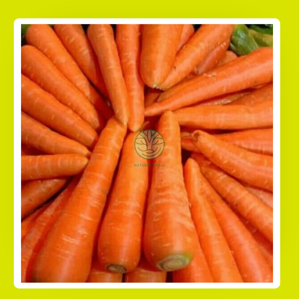 

WORTEL FRESH 500GR - BATAM INSTANT