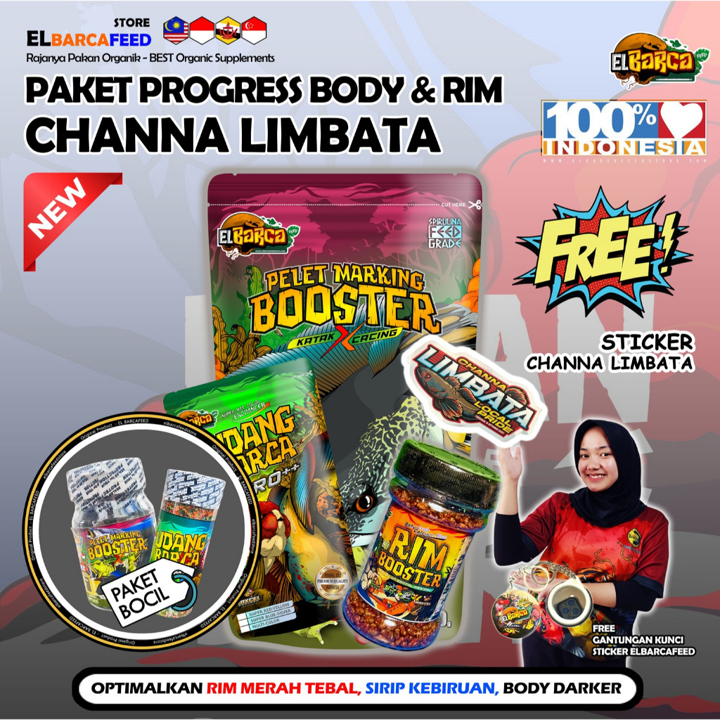 PAKET PAKAN CHANNA LIMBATA pakan PROGRESS Rim Merah Tebal, Sirip fin Kebiruan+Free Sticker Channa