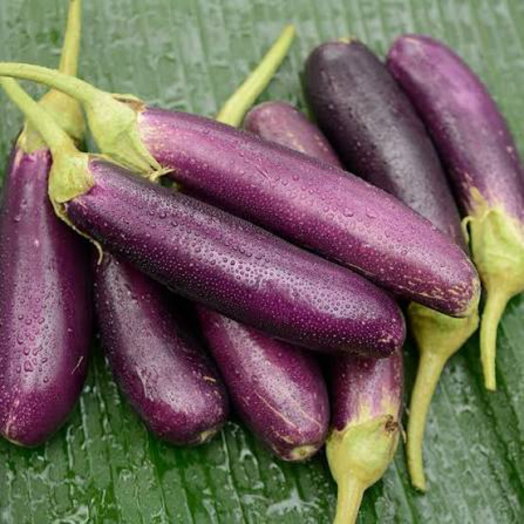 

terong ungu super fresh 1kg