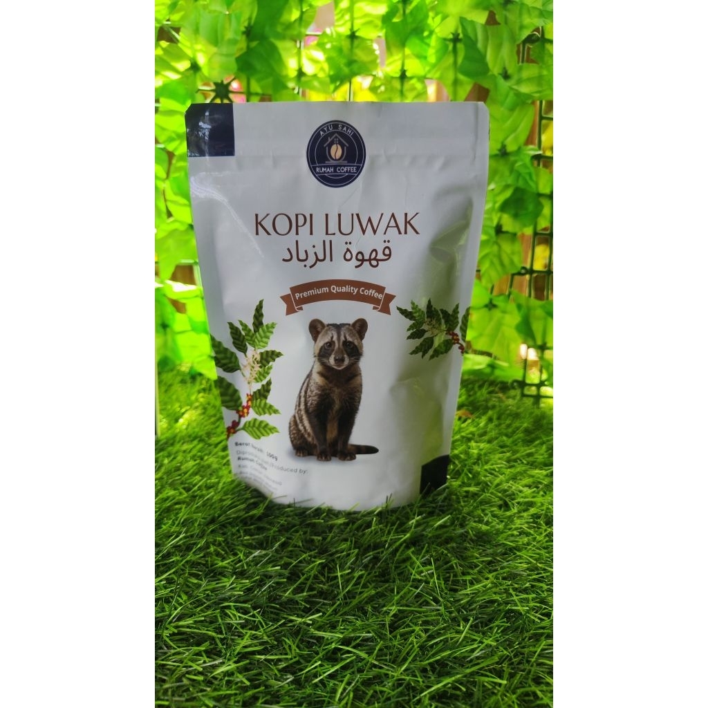 Biji Kopi Luwak Asli 100% Penangkaran | kopi asli biji kopi luwak | Biji Roasting Coffee Luwak