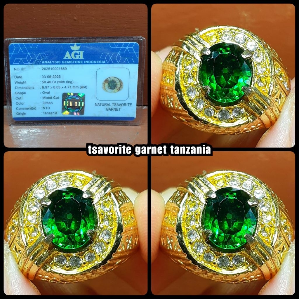 natural permata tsavorite garnet tanzania + memo lab