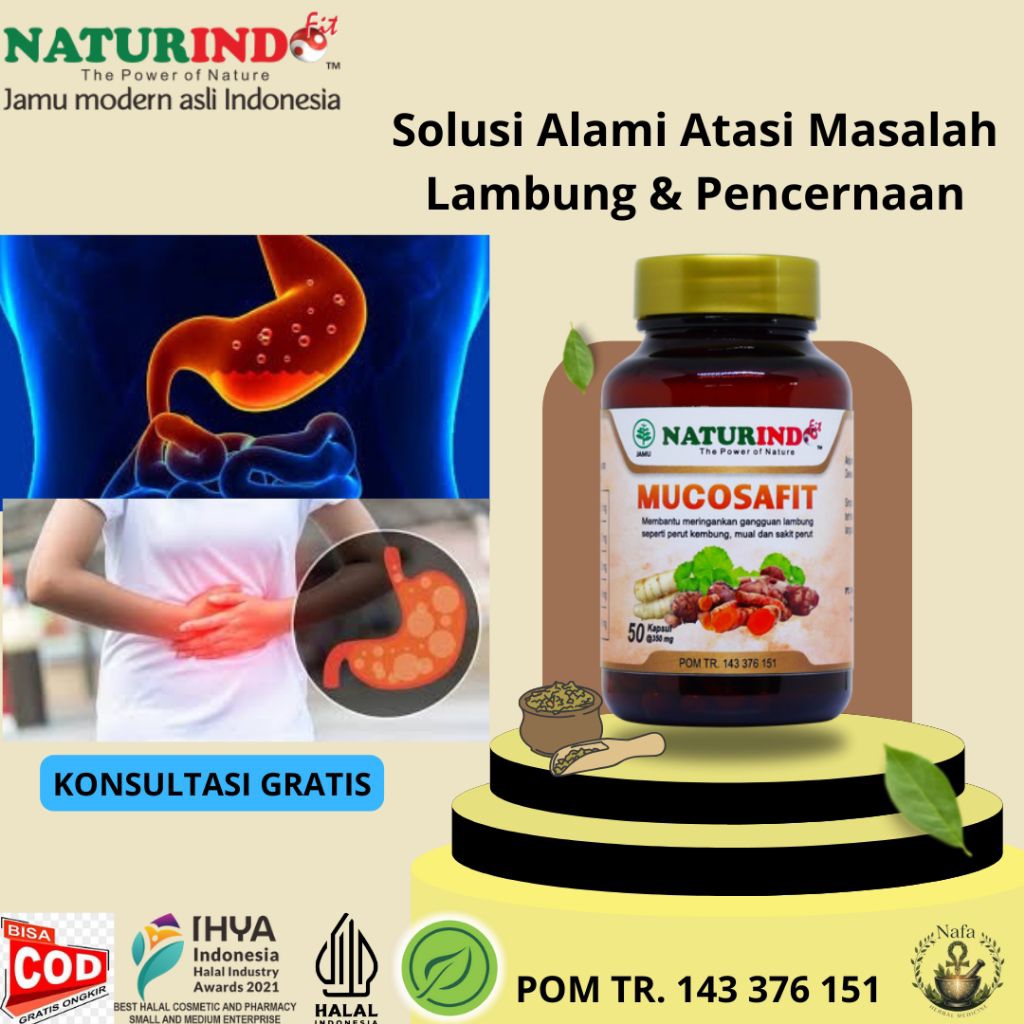 Obat Herbal Lambung Mucosafit Naturindo