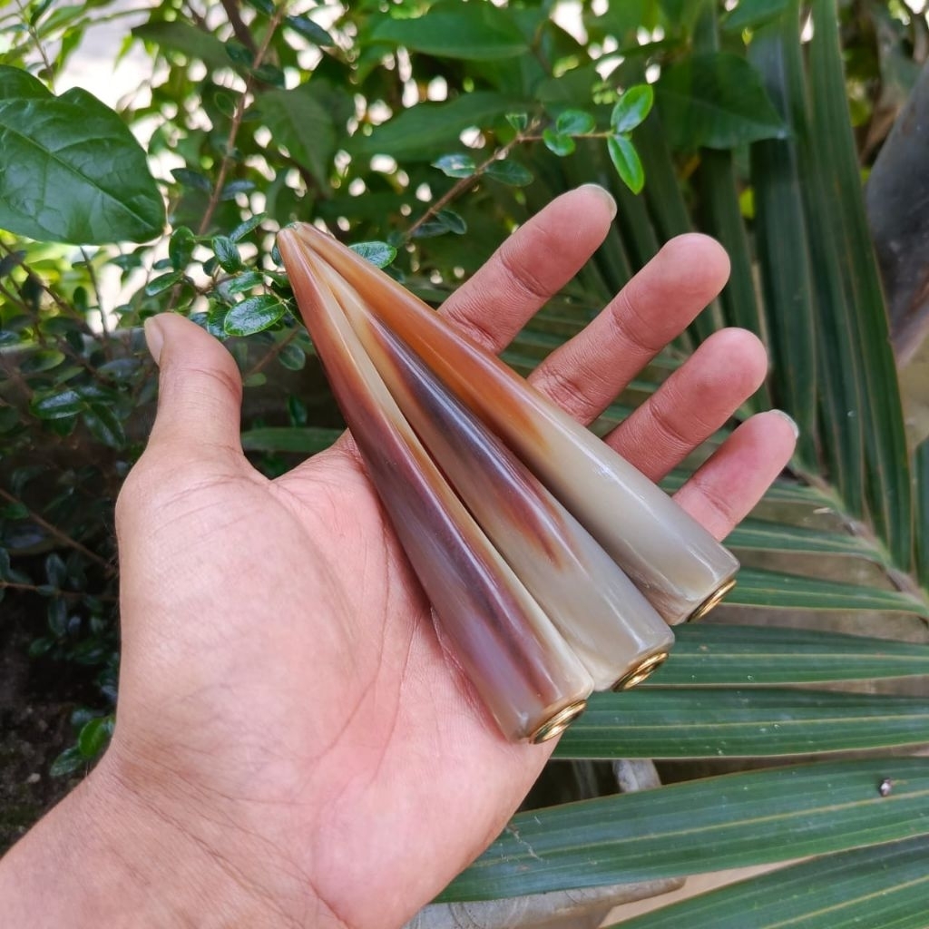 pipa tanduk kerbau bule gurih