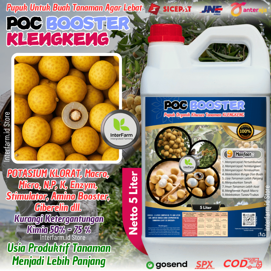 5 Liter Pupuk pelebat buah klengkeng dengan potasium klorat, POC BOOSTER Cair Klengkeng INTERFARM