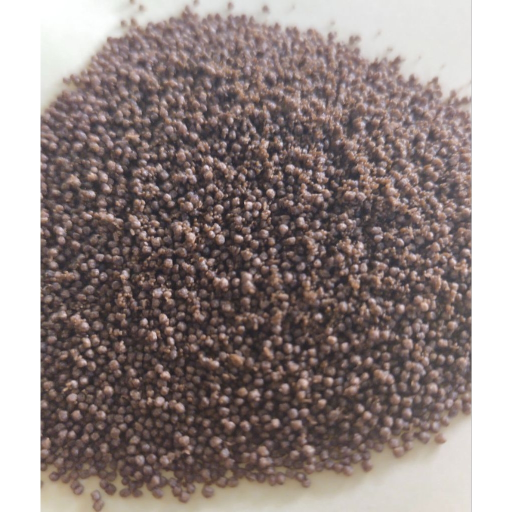 pakan labi labi bulus