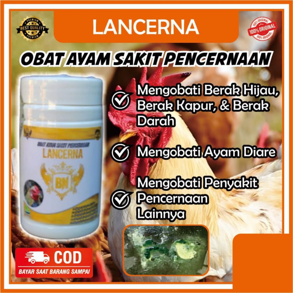LANCERNA Obat Ayam Sakit Pencernaan, obat berak hijau, berak kapur, berak darah dan obat ayam aratan