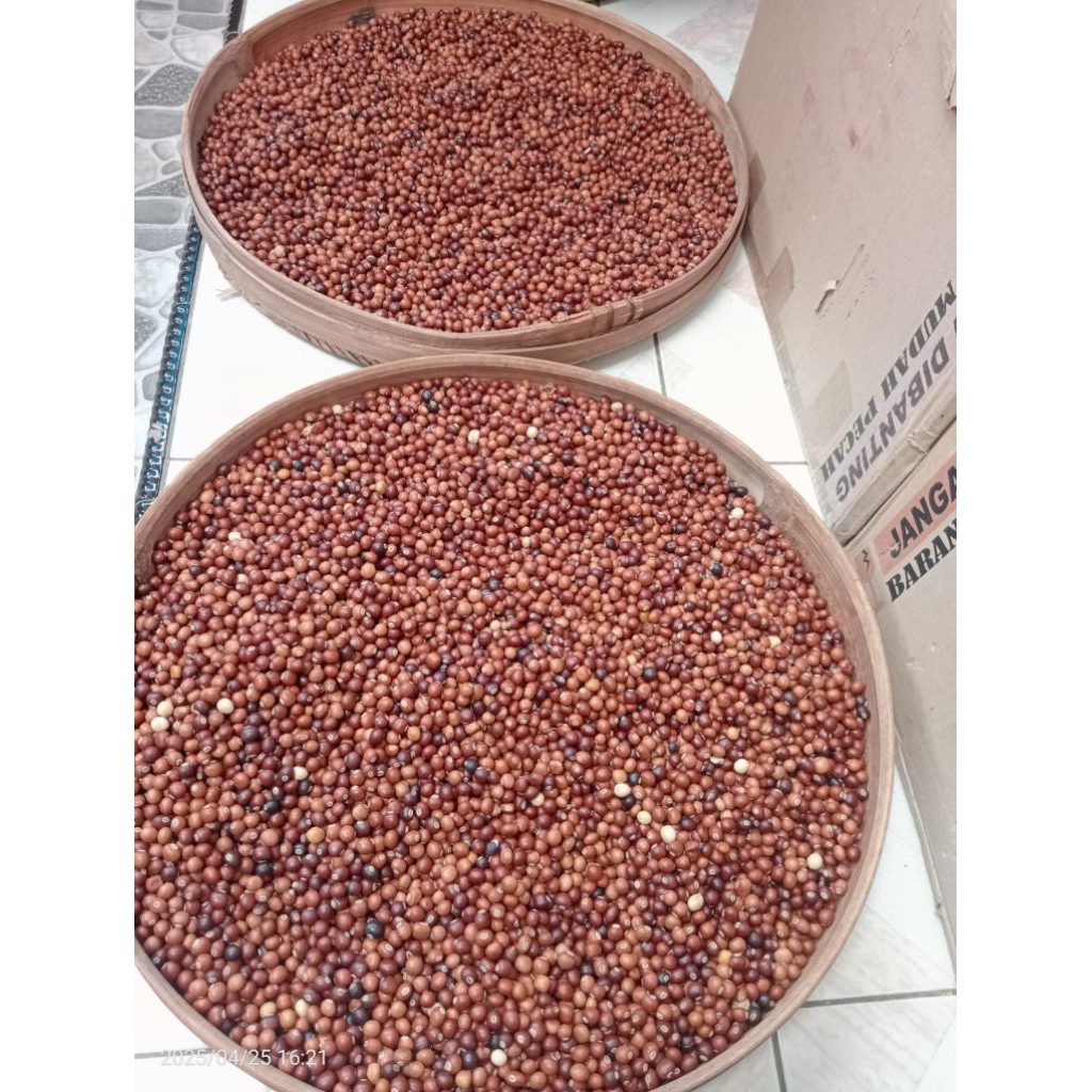 Biji kecipir/BOTOR/CIPIR 1kg(mentah,kering,bersih)