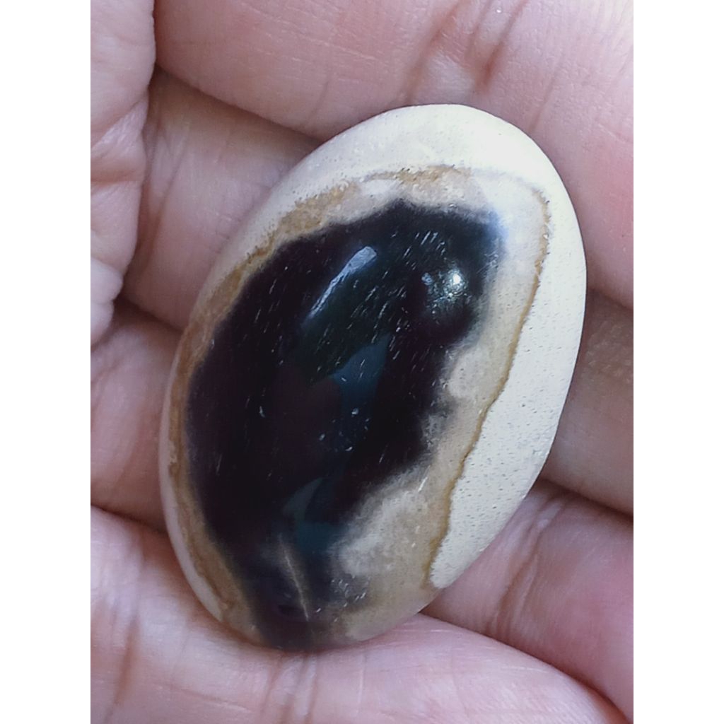 Batu Fosill Kelor Gambar Keris Semar Sakral