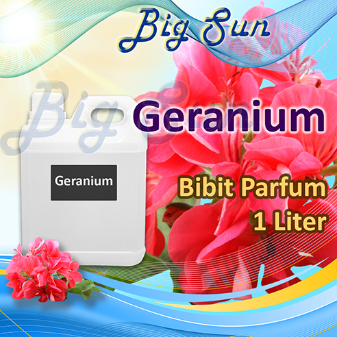 Bibit Parfum Wangi Geranium / Wangi Bunga Geranium