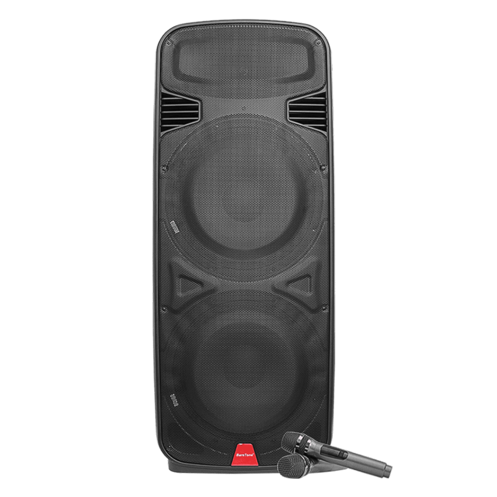 PORTABLE SPEAKER BARETONE 2 x 15" PM 215