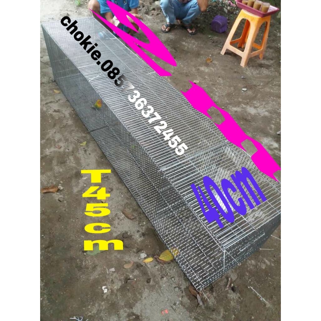 Umbaran Burung kenari lovebird