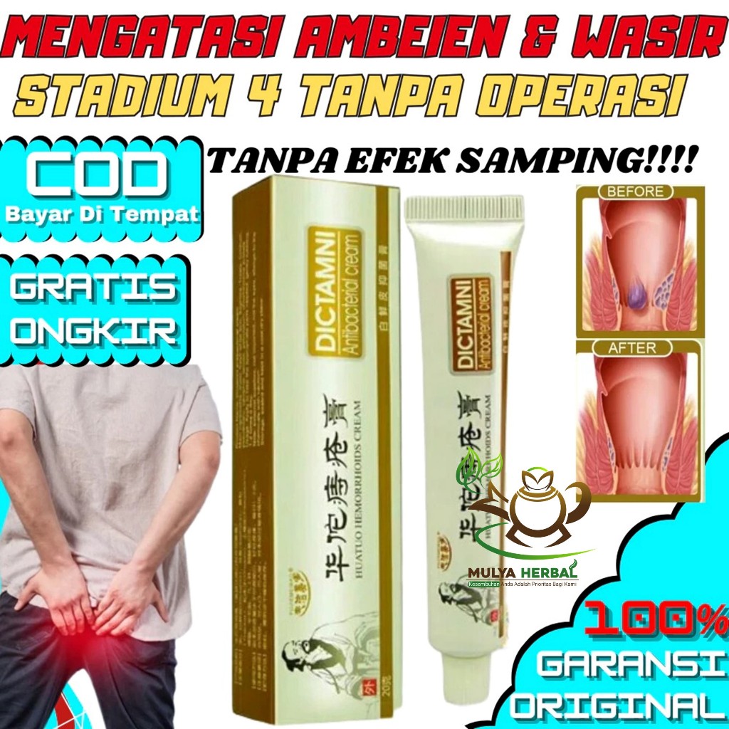 Obat Salep saleb Krim Cream Wasir Ambeien Ambeyen Ambien Hemoroid Hemorrhoids DICTAMNI DIKTAMNI HUAT