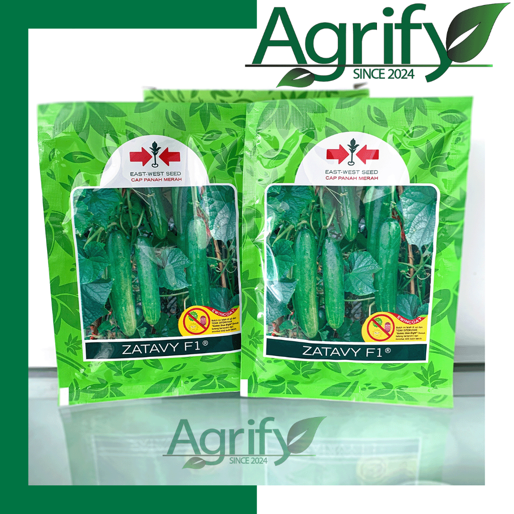 Benih Timun Hibrida ZATAVY F1 Cap Panah Merah 800btr