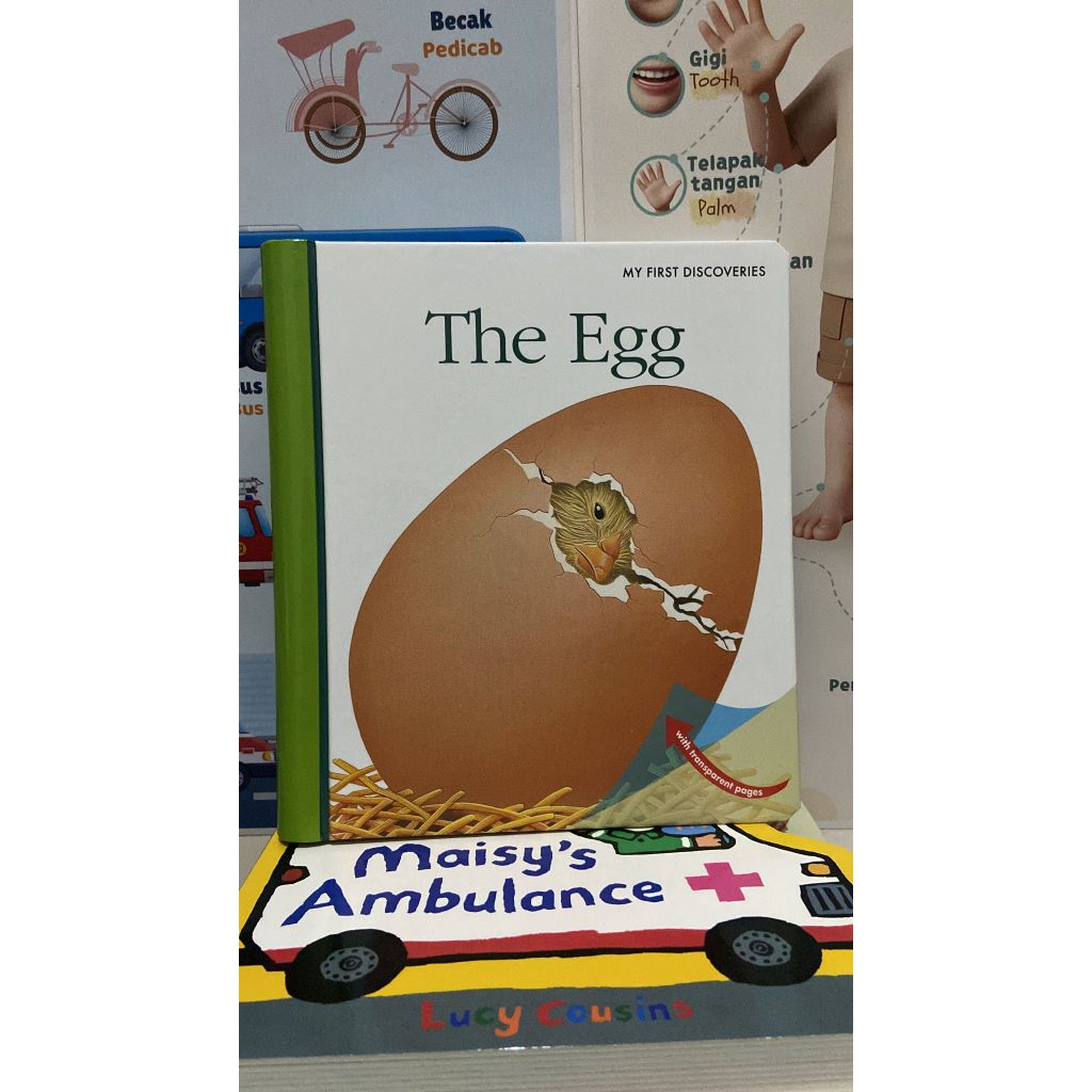 MFD The Egg (Booked)