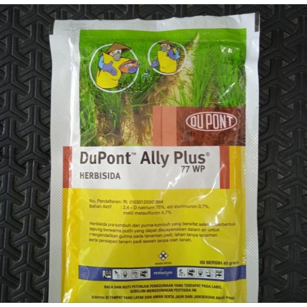 ALLY PLUS 77wp