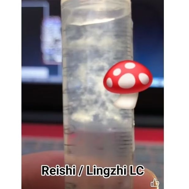 Bibit jamur lingzhi cair liquid culture jamur lingzhi bibit jamur lingzhi media kultur cair 10 ml