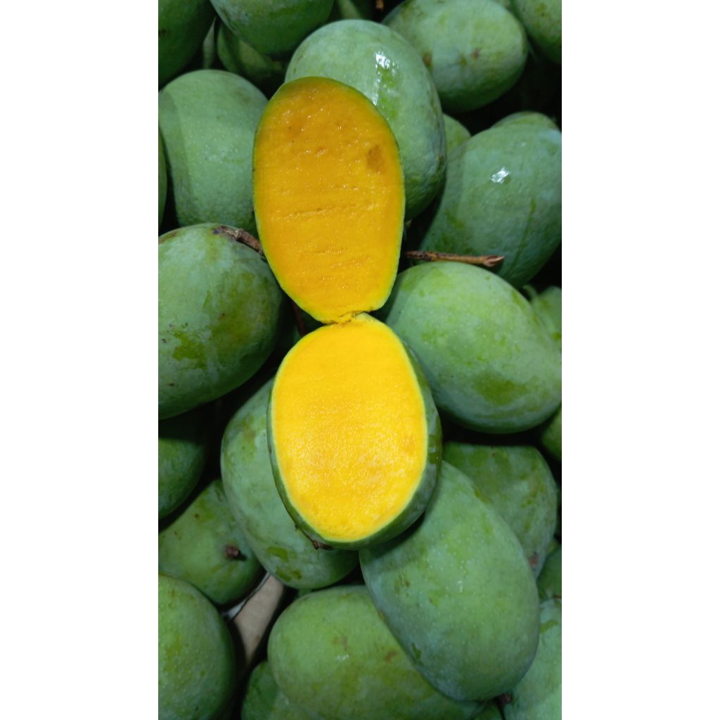 MANGGA KWENI MATANG 1KG
