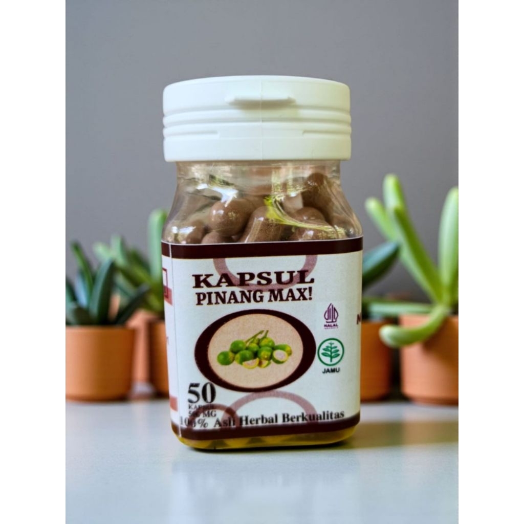 Extrak Buah Pinang Muda Max Buah Pinang Kapsul 50