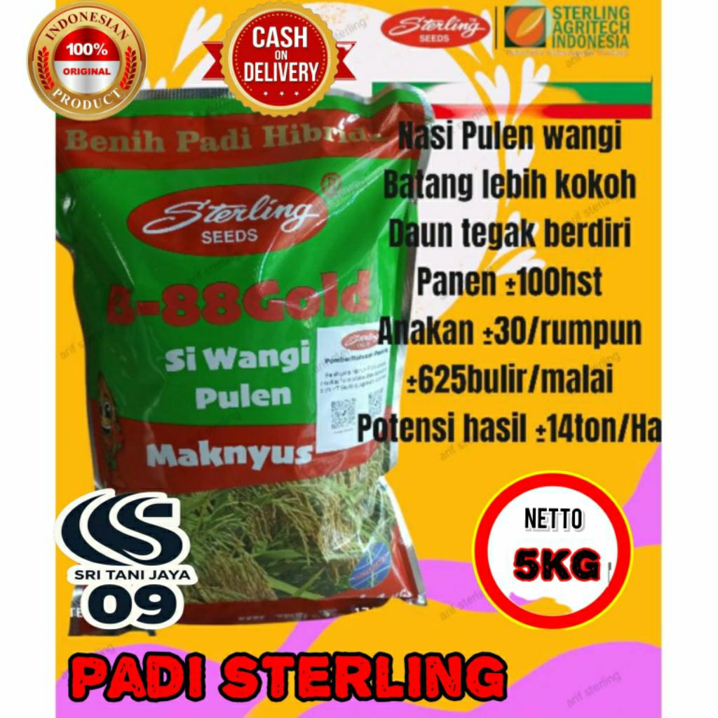BENIH PADI STERLING