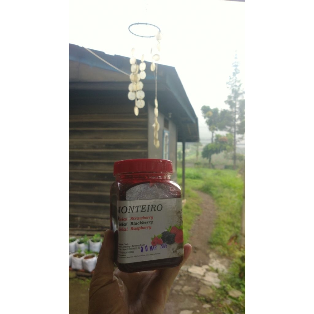 

Selai Monterio strawberry jams blackberry raspberry selai jadul bandung lembang