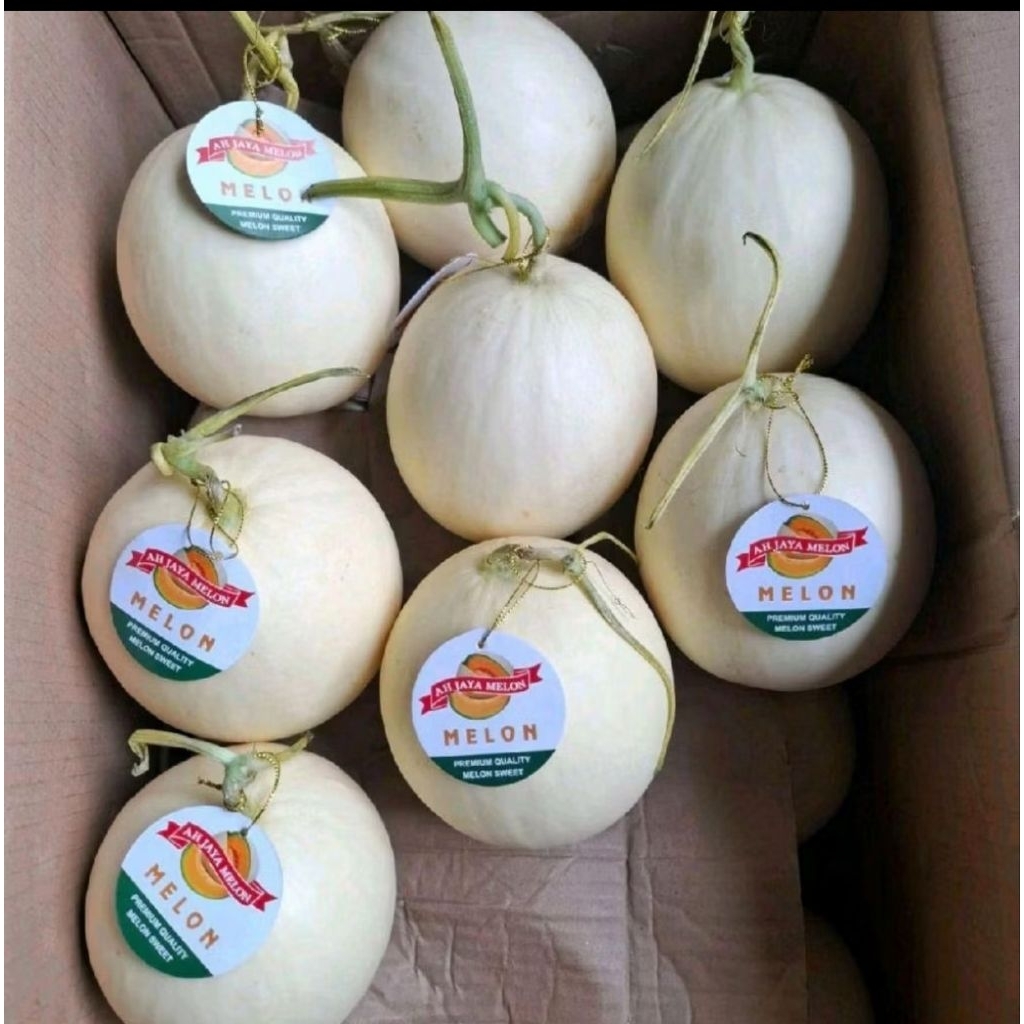 Buah melon honey dew melon premium super sweety 1,3kg
