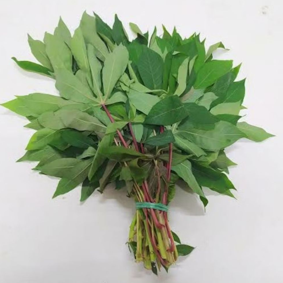 

KIRIM INSTAN DAUN SINGKONG PERIKAT SEGAR / DAUN SINGKONG FRESH PER IKAT / TUKANG SAYUR ONLINE