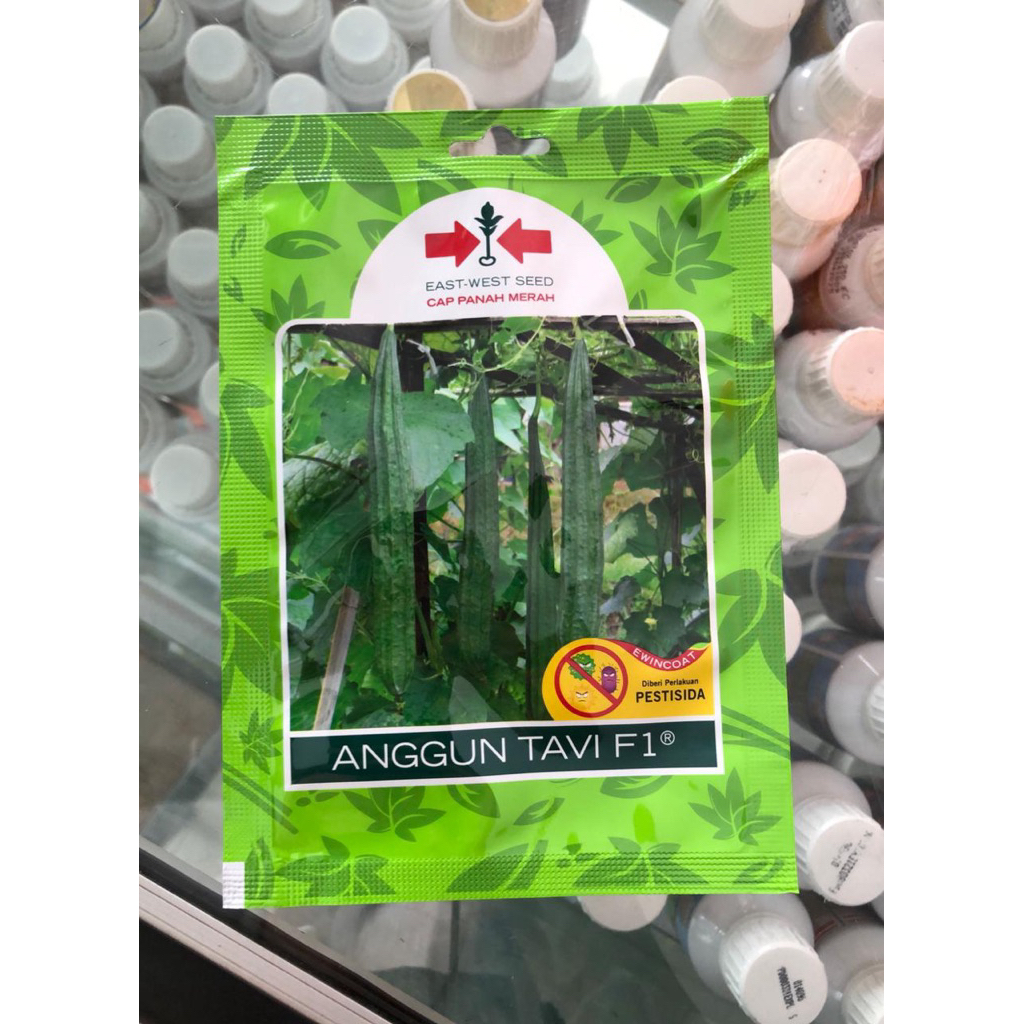 Benih Gambas Oyong ANGGUN TAVI 20 biji Cap Panah Merah